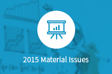 2015 Material Issues